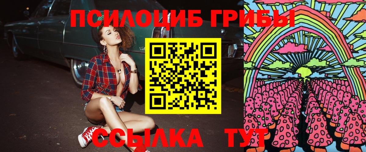 Псилоцибиновые грибы Psilocybine cubensis  Вход с VPN  Борзя 
